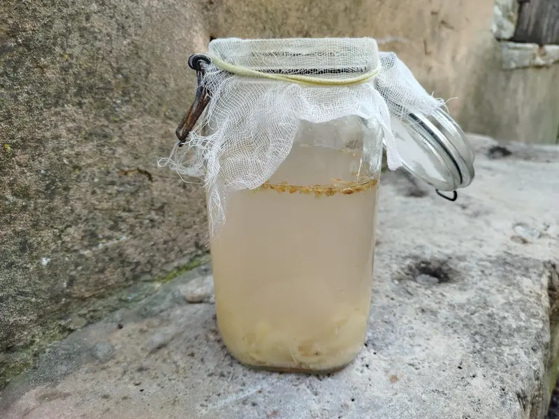 recette de Ginger beer