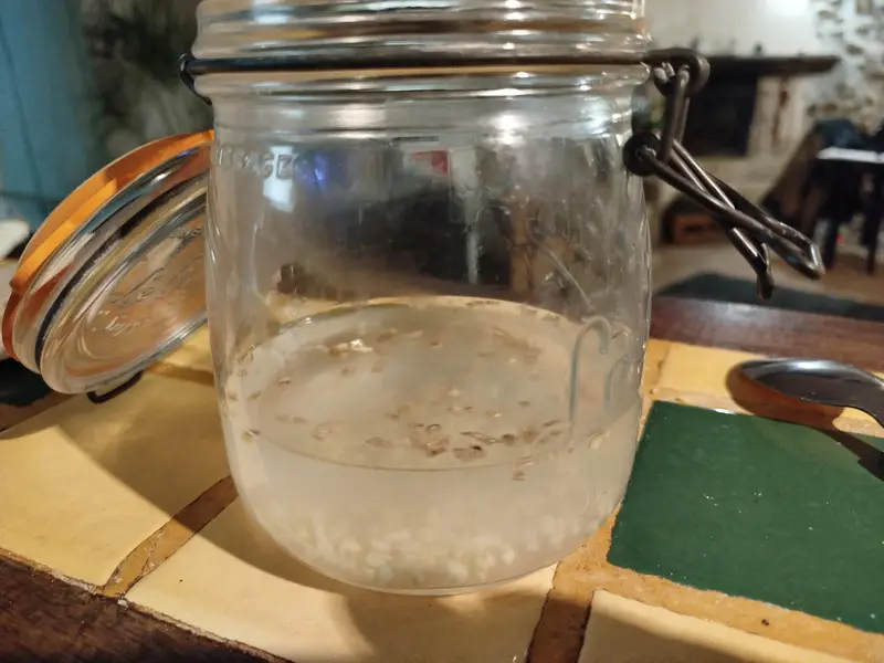 Etape 1 de la fabrication du Ginger bug