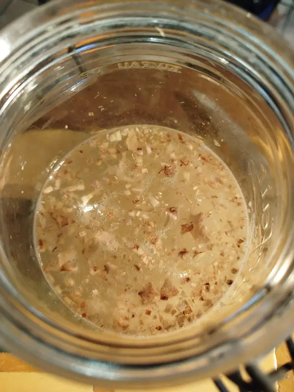 Etape 2 de la fabrication du Ginger bug