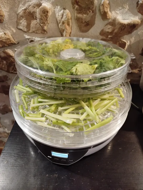 céleri déshydraté